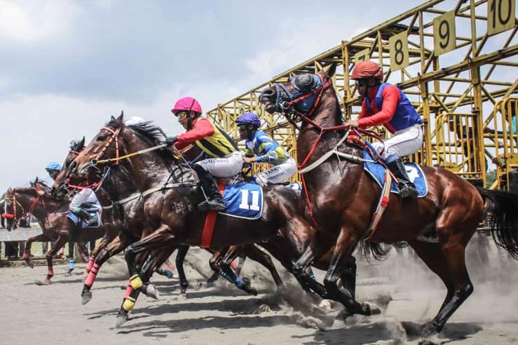 Dari Kandang ke Sportsbook: Evolusi Dunia Taruhan Pacuan Kuda