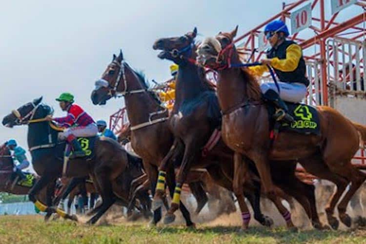 Cara akses kategori pacuan kuda di sportsbook Mabosplay