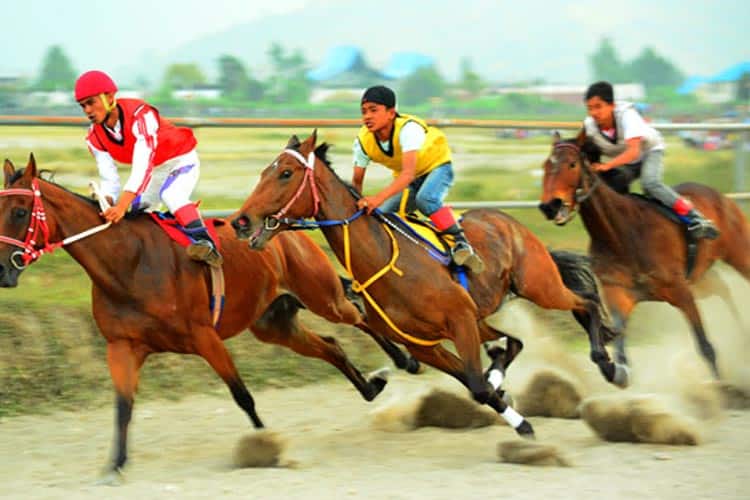 Tips Taruhan Balap Kuda di Userslot